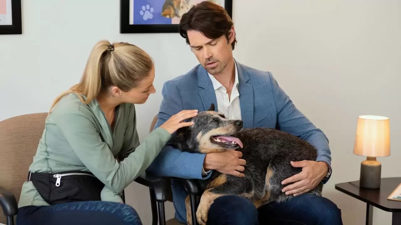 The Dog Lover's Guide to Dating Backdrop