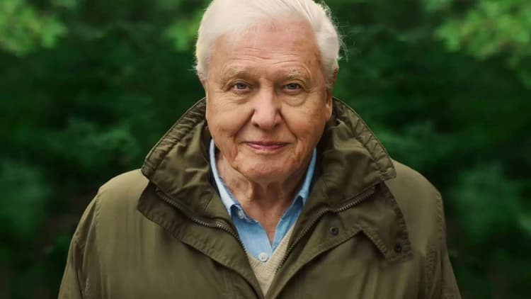 David Attenborough: A Life on Our Planet Poster
