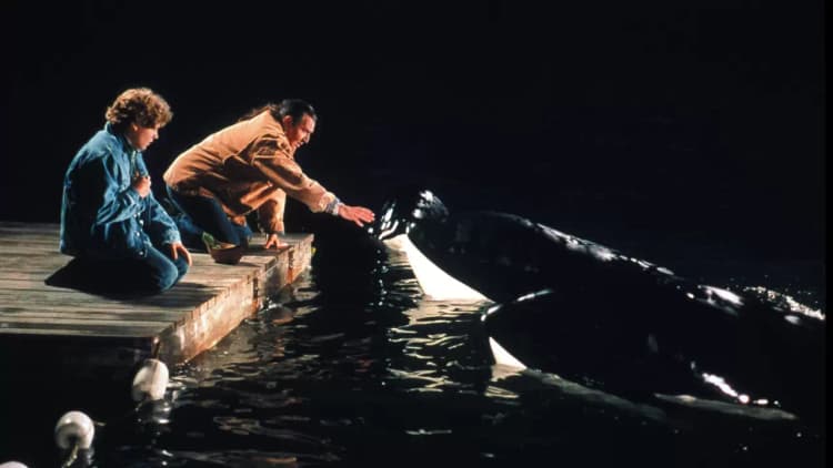 Free Willy 2: The Adventure Home Poster