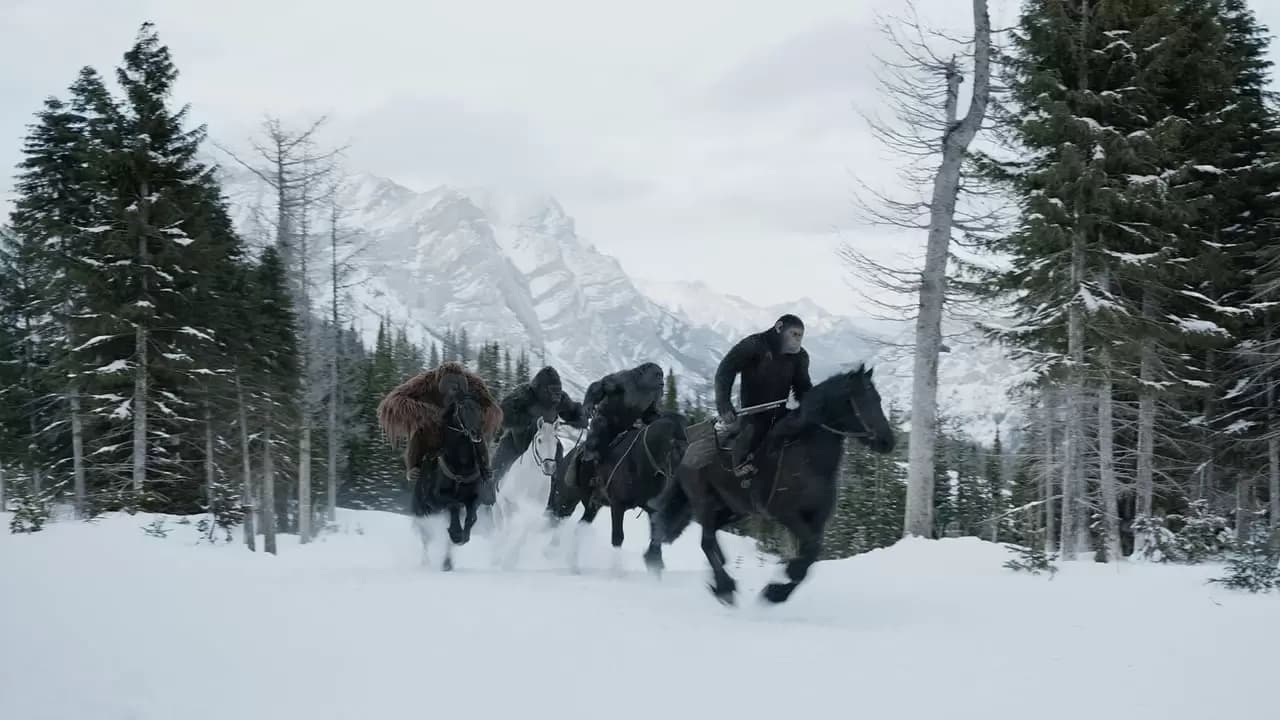 War for the Planet of the Apes Backdrop