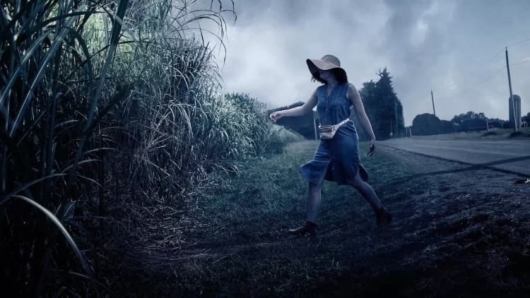 In the Tall Grass Poster