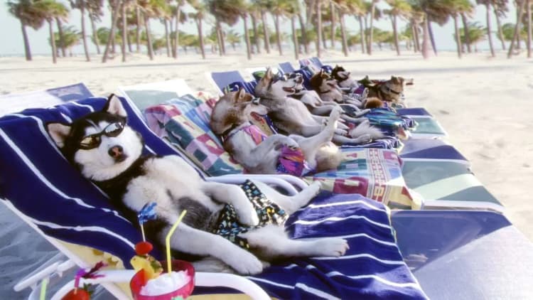 Snow Dogs Poster