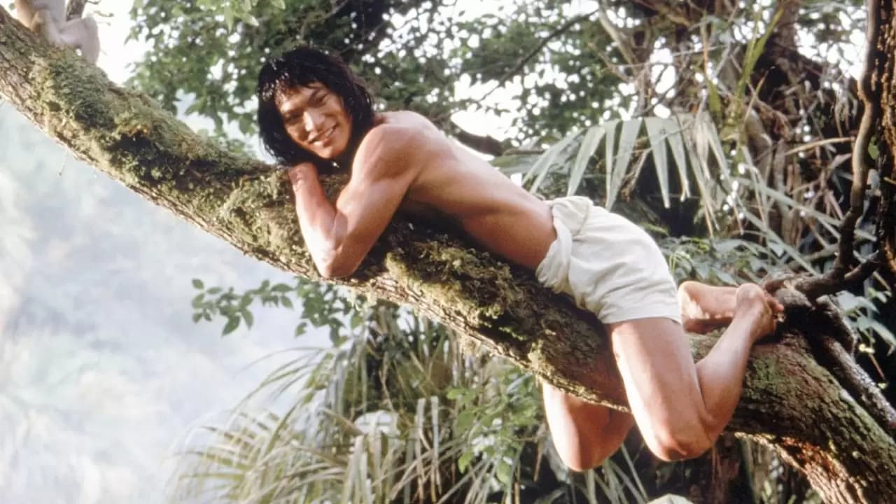 The Jungle Book Backdrop