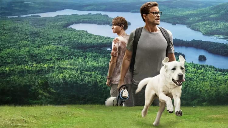Dog Gone Poster