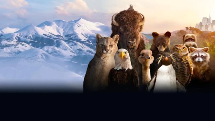 The Americas Poster