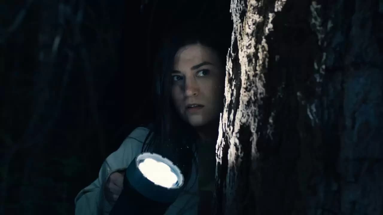 Stranger in the Woods Backdrop