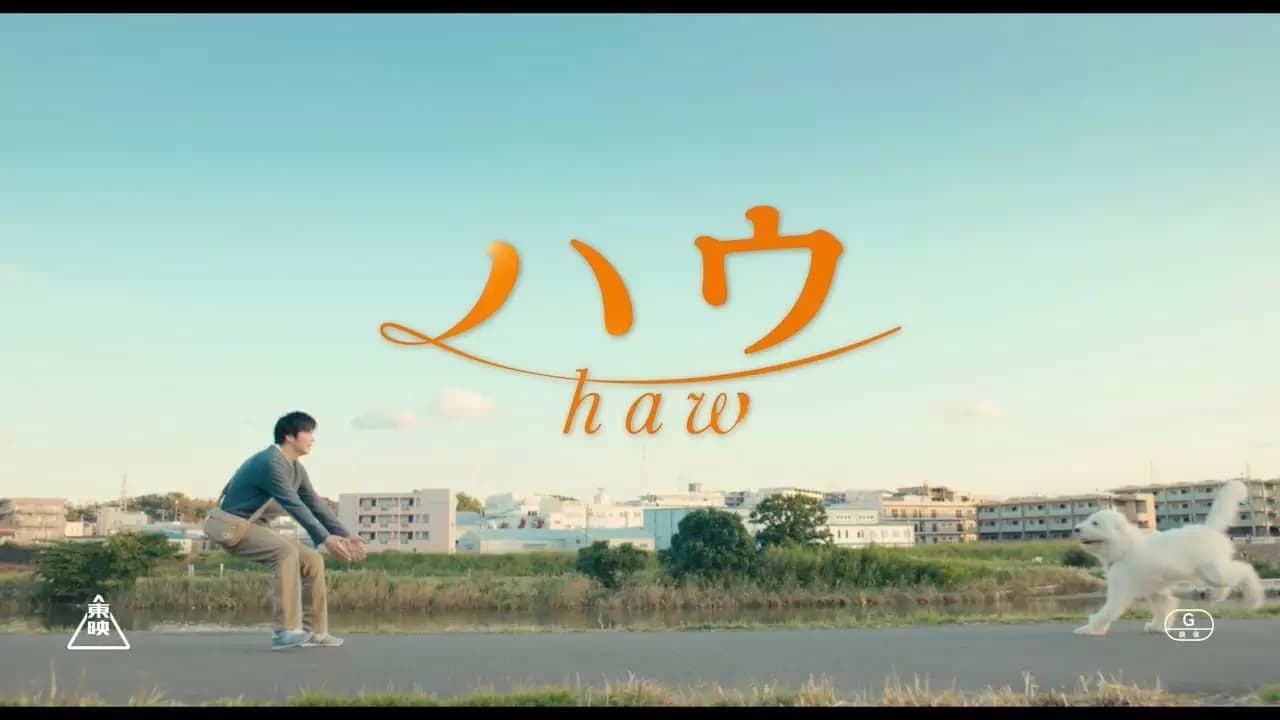 Haw Backdrop