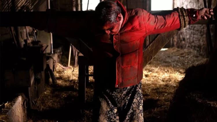 Calvaire Poster