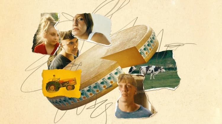 Holy Cow Poster