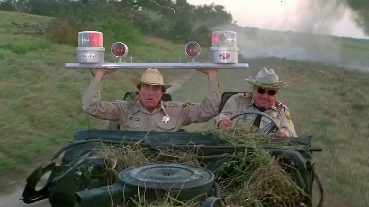 Smokey and the Bandit Part 3 Backdrop