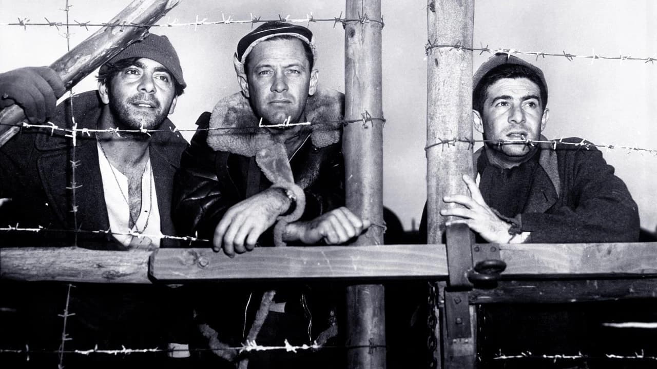 Stalag 17 Backdrop