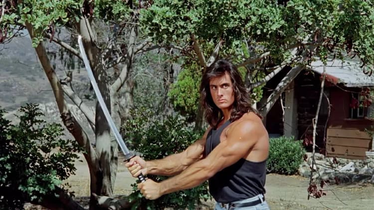 Samurai Cop Poster