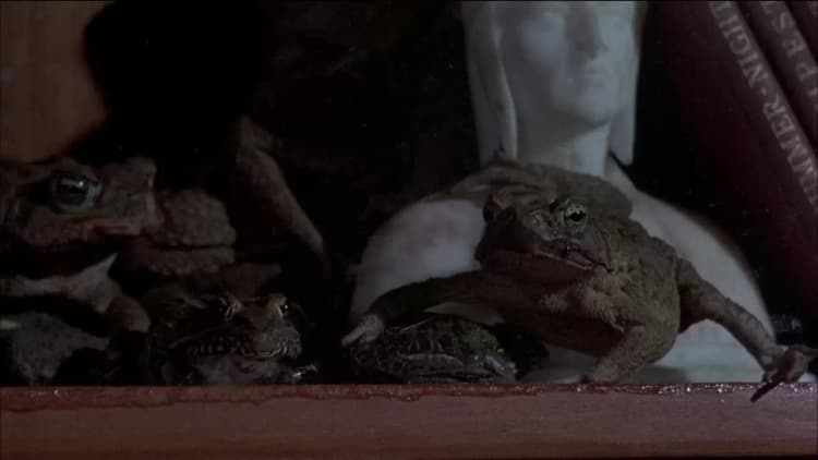 Frogs Poster