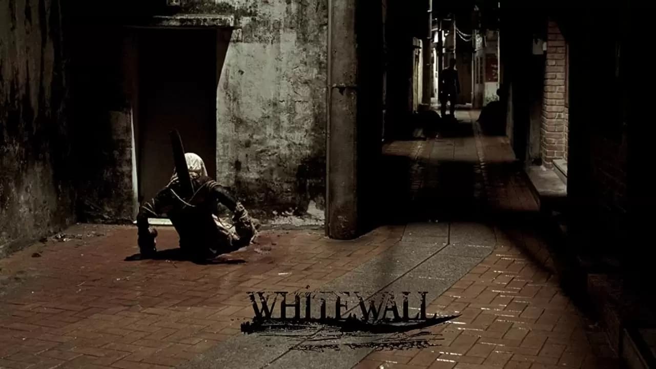 White Wall Backdrop