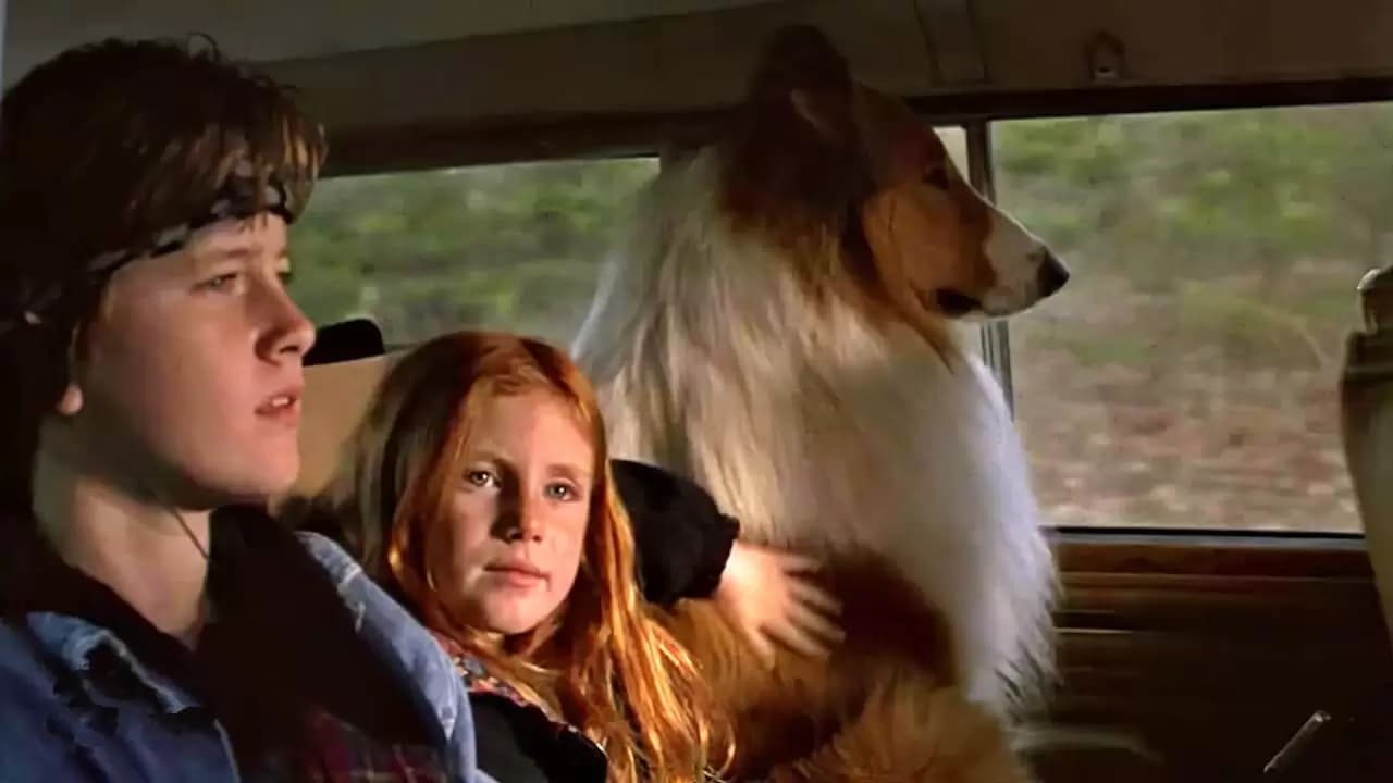Lassie Backdrop