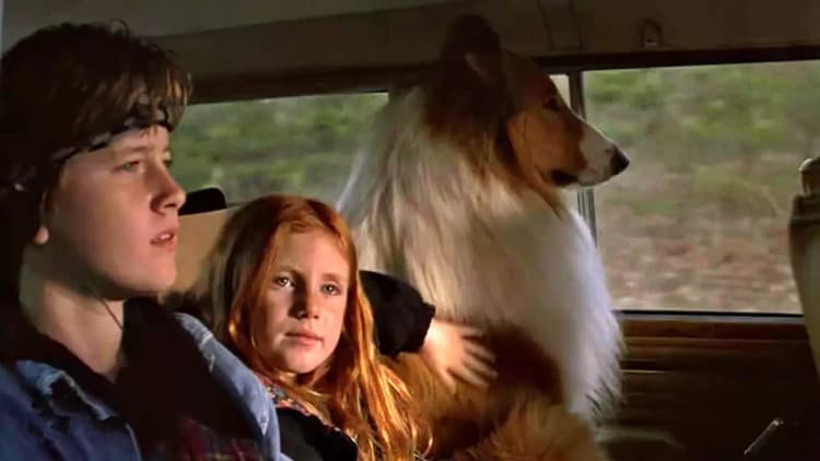 Lassie Poster