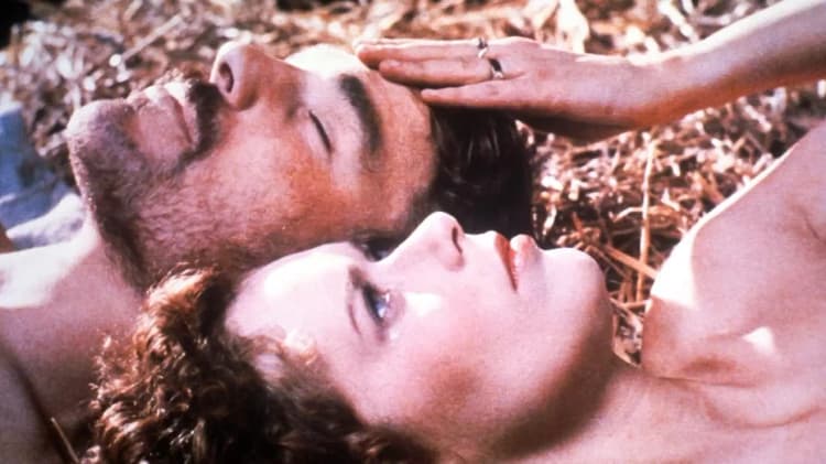 Lady Chatterley's Lover Poster