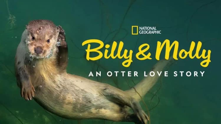 Billy & Molly: An Otter Love Story Poster