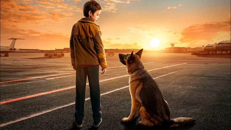 A Dog Named Palma Poster