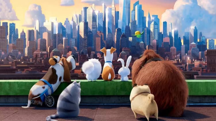 The Secret Life of Pets Poster