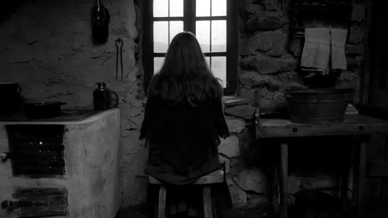 The Turin Horse Backdrop