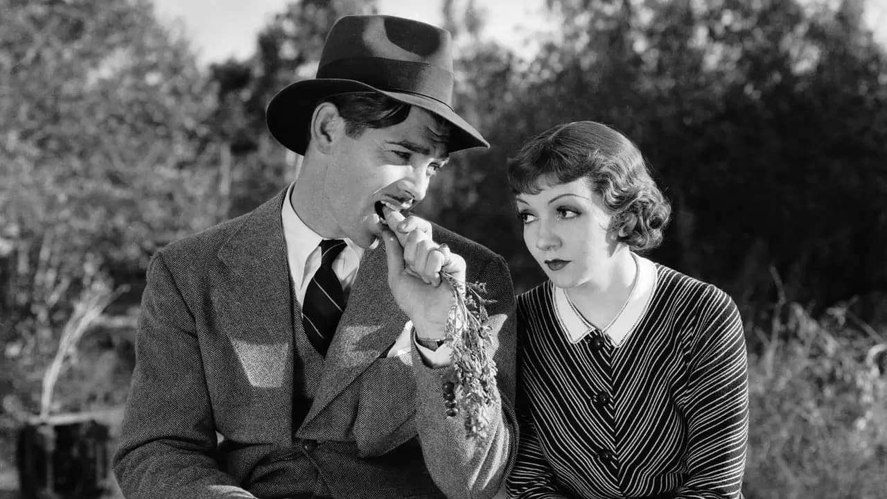 It Happened One Night Backdrop