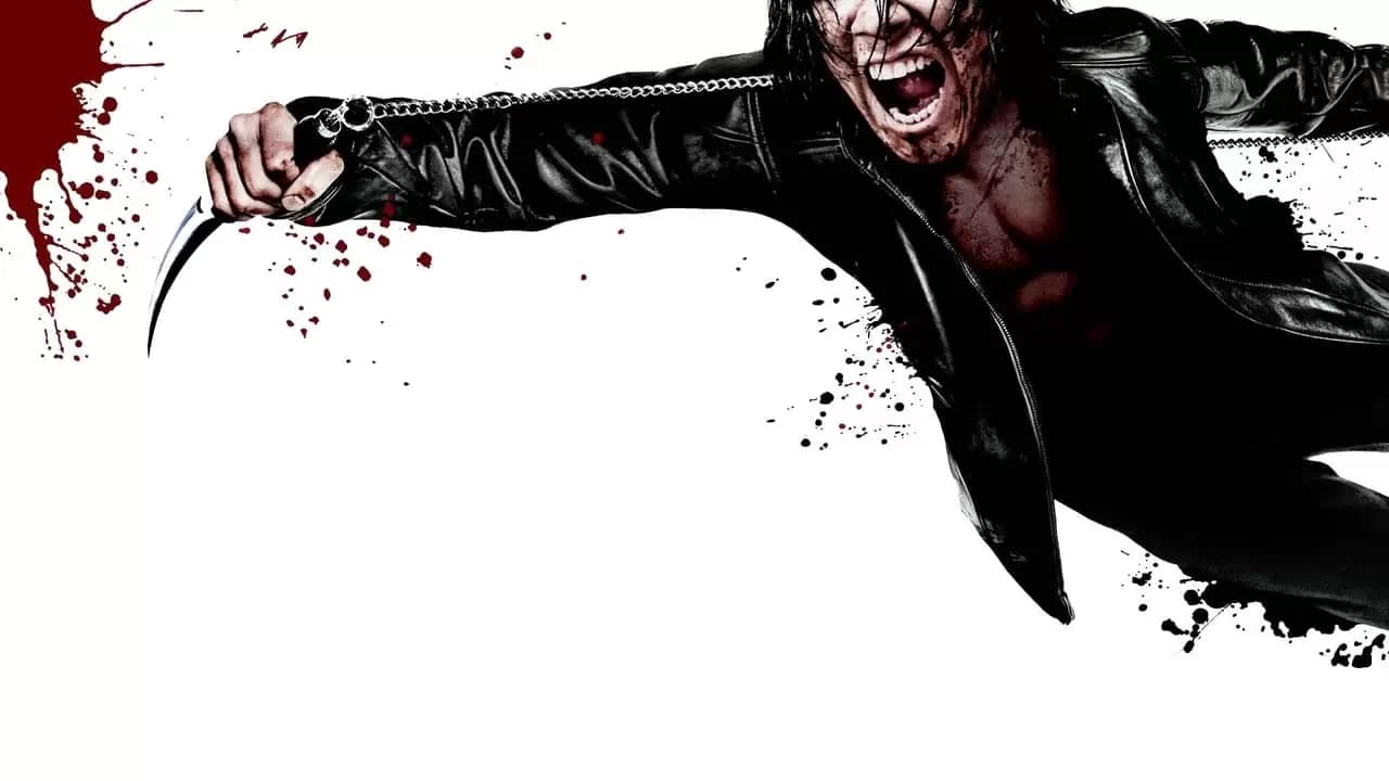 Ninja Assassin Backdrop