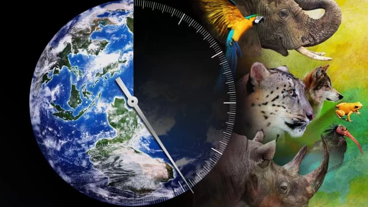 Racing Extinction Poster