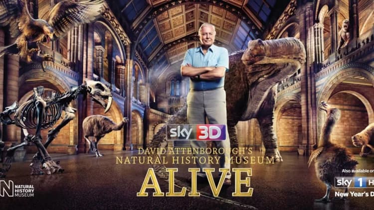 David Attenborough's Natural History Museum Alive Poster