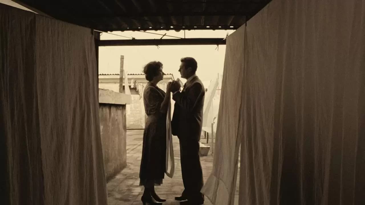 A Special Day Backdrop