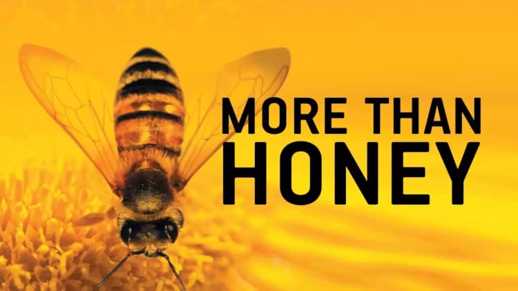 More Than Honey Poster