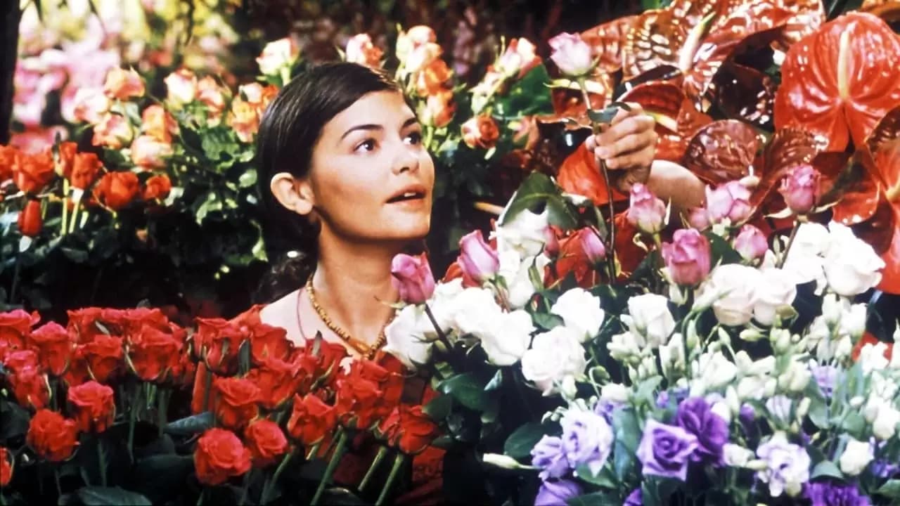 He Loves Me, He Loves Me Not Backdrop