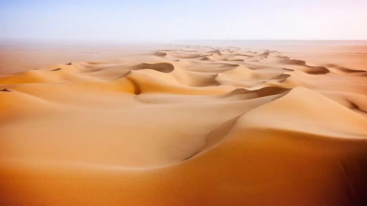 Wild Arabia Poster