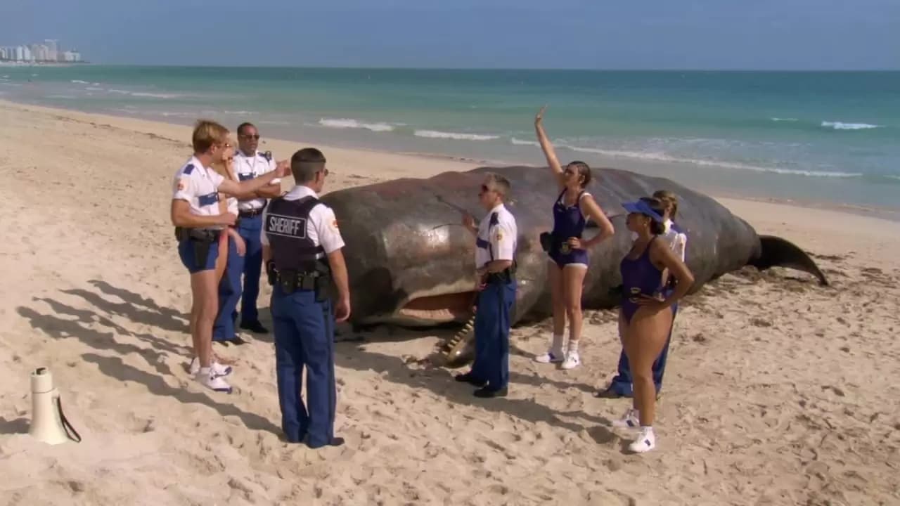 Reno 911! Miami Backdrop