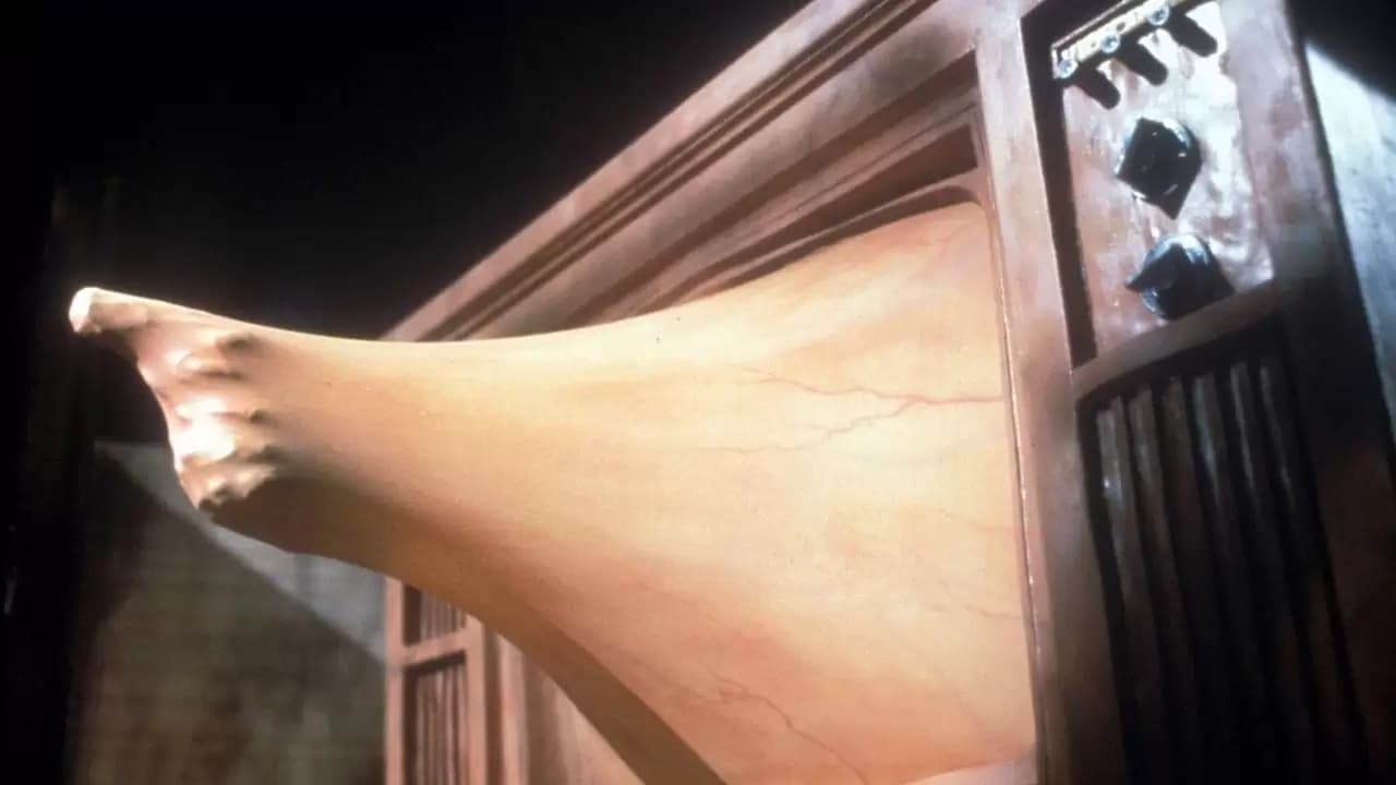 Videodrome Backdrop
