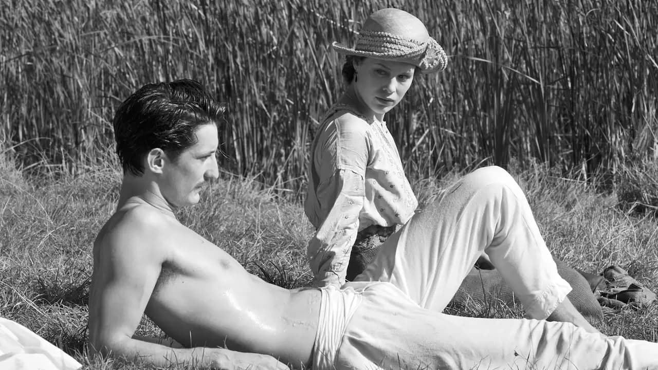 Frantz Backdrop
