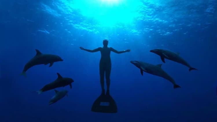 The Cove Poster