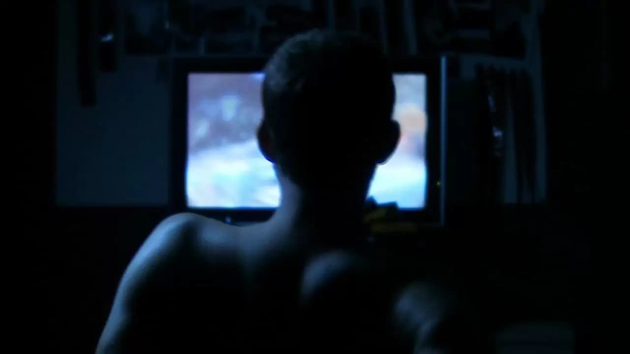 The Signal Backdrop
