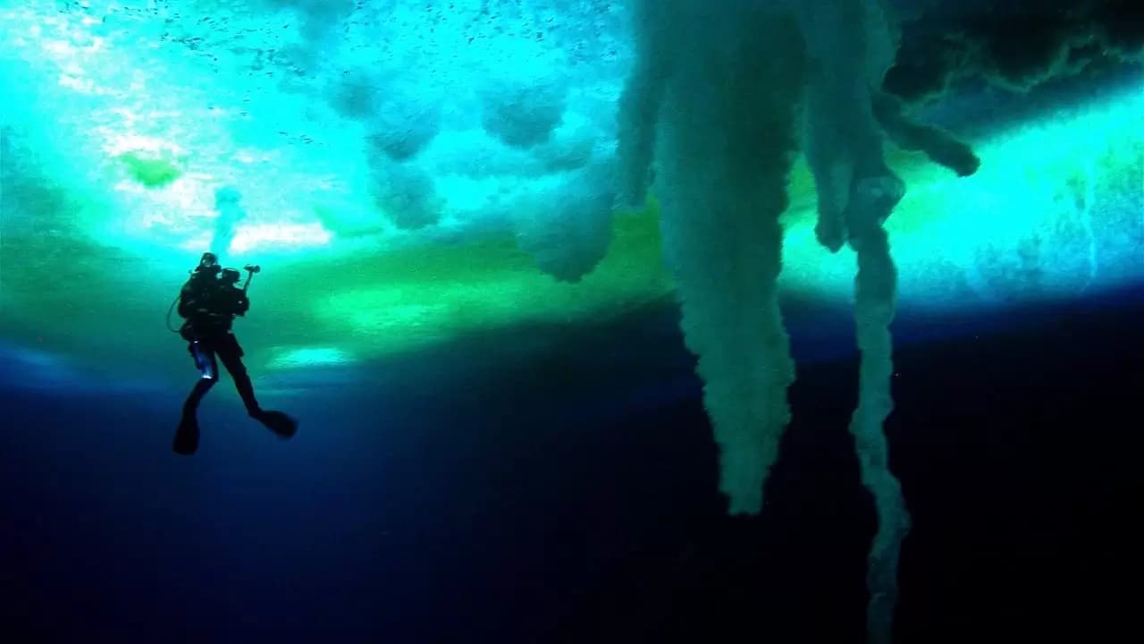 Encounters at the End of the World Backdrop