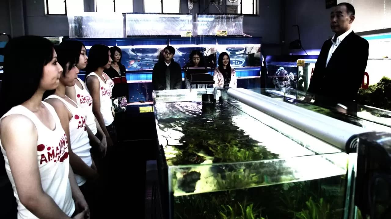Cold Fish Backdrop