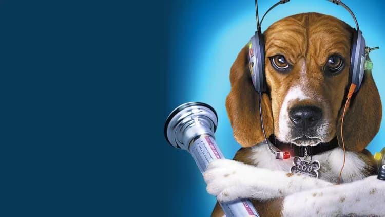 Cats & Dogs Poster