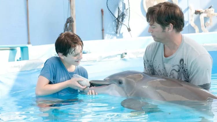 Dolphin Tale Poster