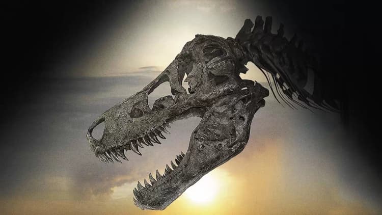 Dinosaur 13 Poster