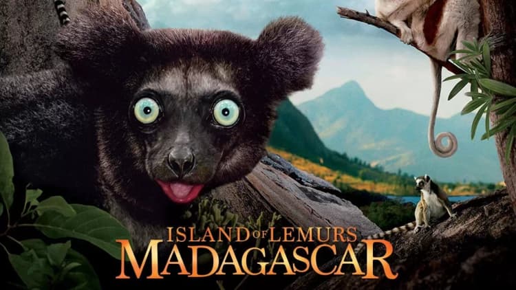 Island of Lemurs: Madagascar Poster