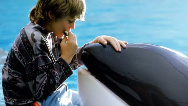 Free Willy Poster