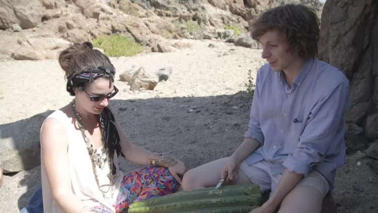 Crystal Fairy & the Magical Cactus Poster