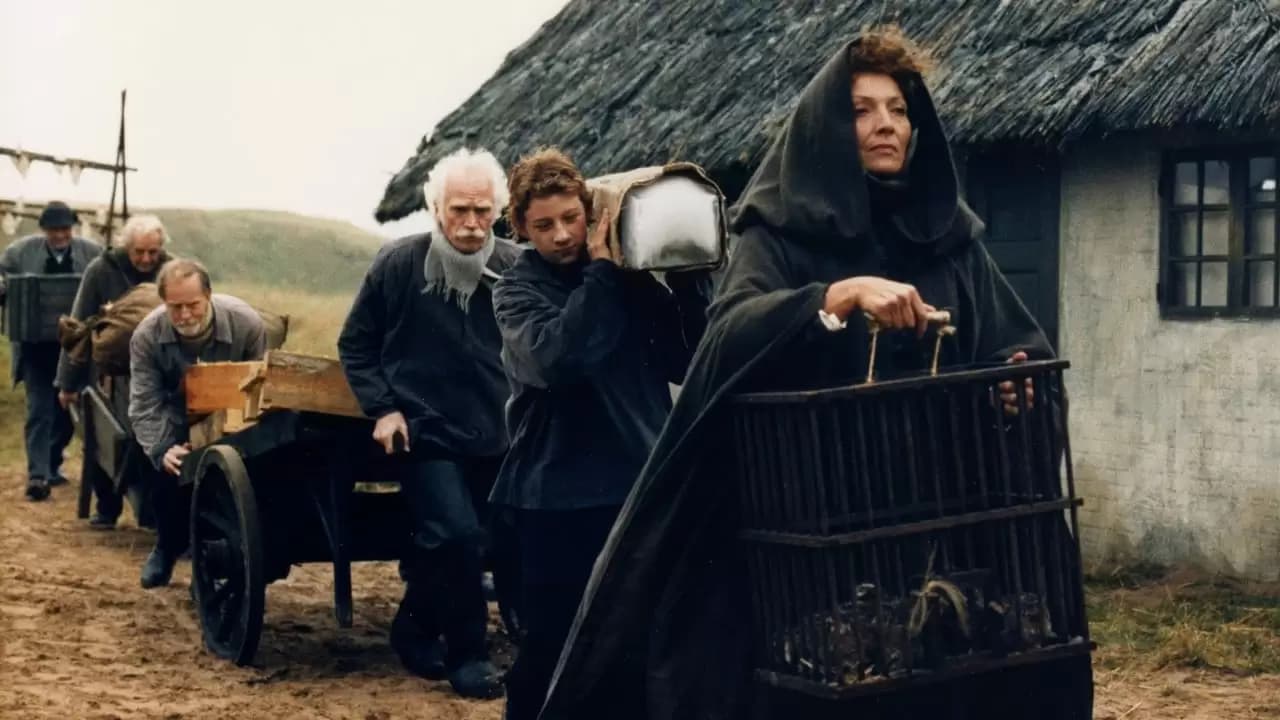 Babette's Feast Backdrop