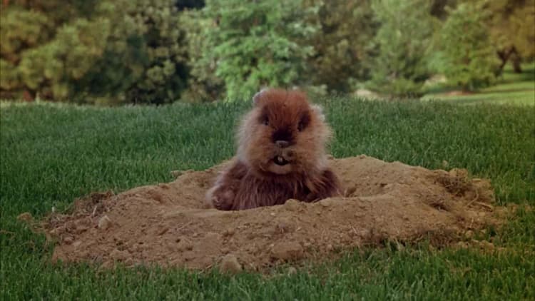 Caddyshack Poster