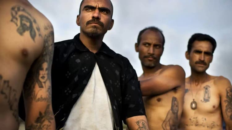 Narco Cultura Poster