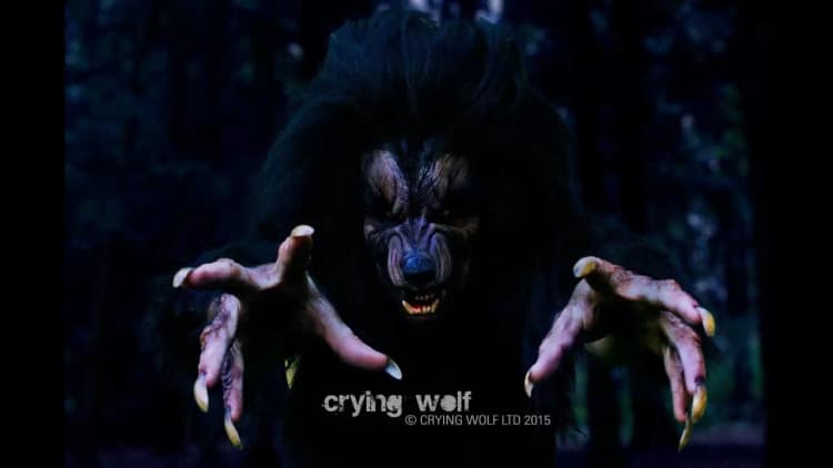 Crying Wolf 3D Poster